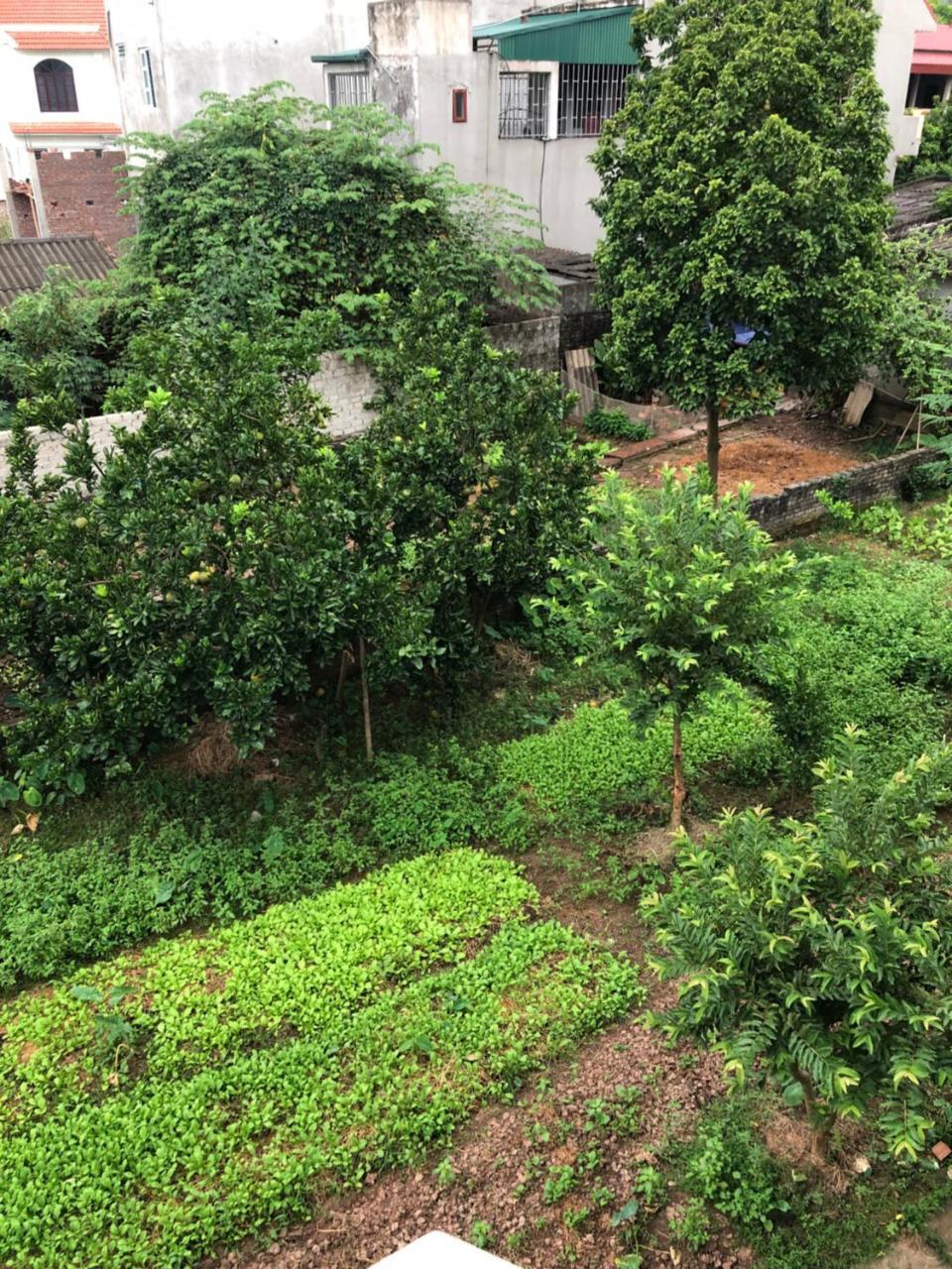 Thành Homestay Ninh Bình Extérieur photo